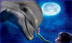 For our little friends